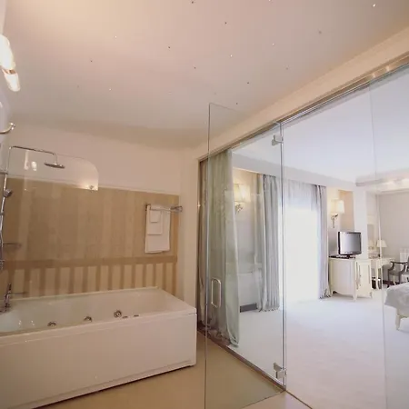 Hotel Helen Bacau