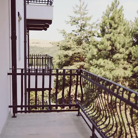 Helen Hotel Bacau