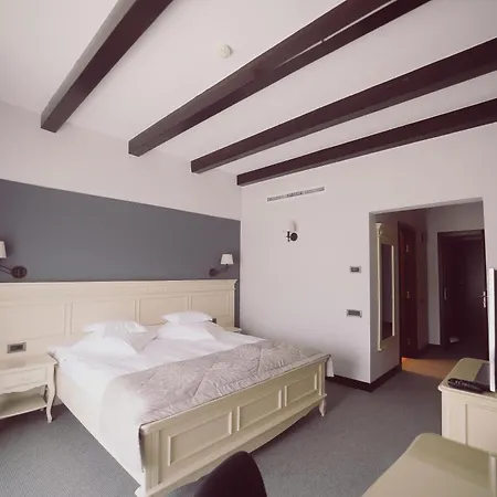 Hotel Helen Bacau